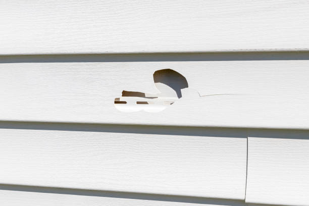 Best Historical Building Siding Restoration  in St Peter, WI